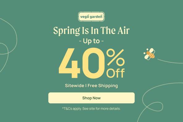 Spring is In
the Air Sale