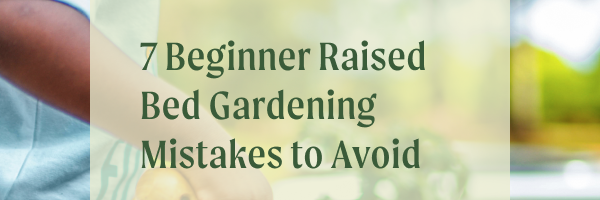 Mistakes to avoid when using raised garden beds