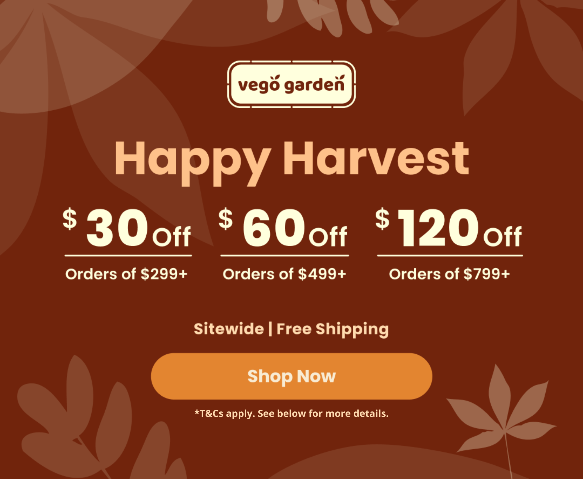 How to Pick the Perfect Pumpkin Vego Garden