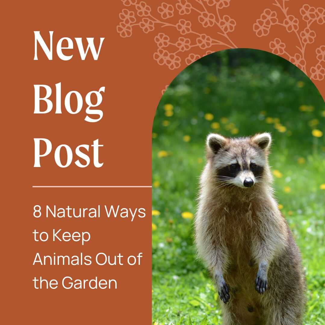 How to keep animals out of the garden