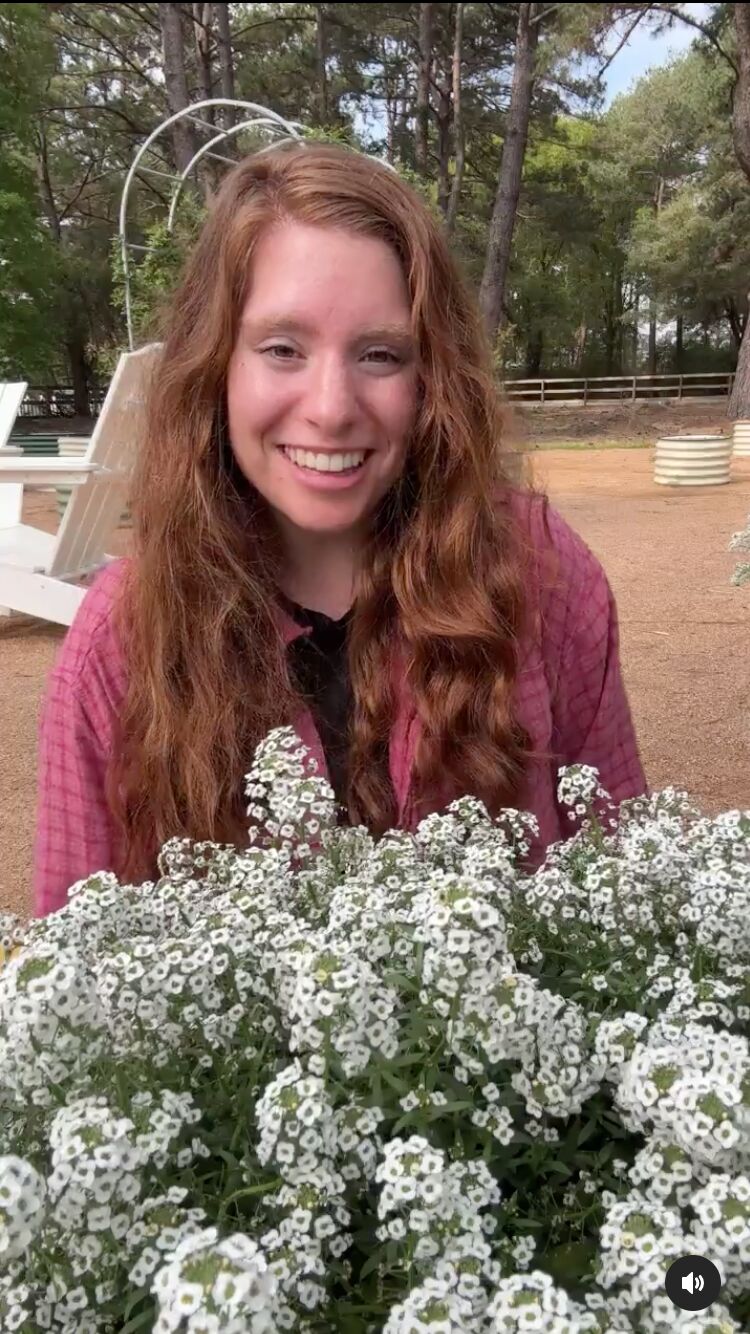 Instagram Live - Sweet Alyssum 