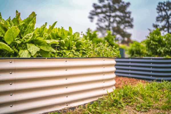 Spring is In the Air Sale