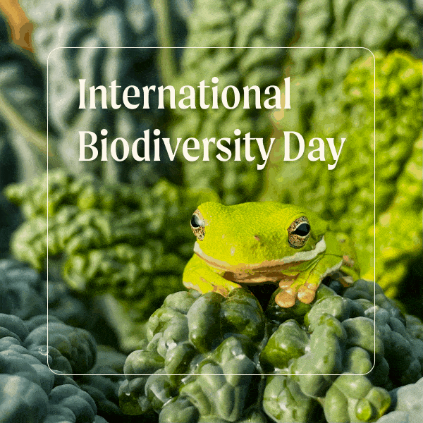 International Day for Biodiversity 