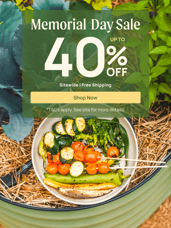 Vego Memorial Day Sale