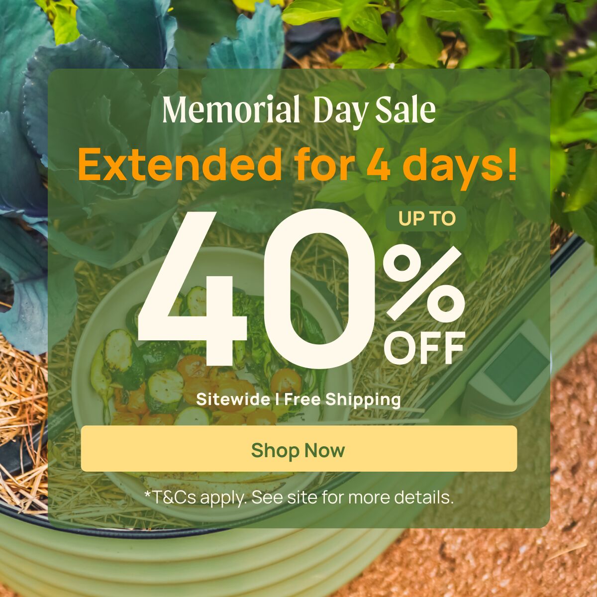 Memorial Day Sale Extension 